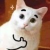 Avatar of Datgmne