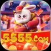 Avatar of 5555vipscom