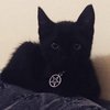 Avatar of wirbelterror