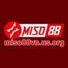 Avatar of Miso88