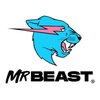 Avatar of MrBeast Official Store