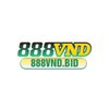 Avatar of 888vnd