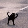 Avatar of TANKsrt