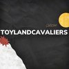 Avatar of Toylandcavalie