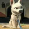 Avatar of Spellmansp