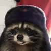 Avatar of MrMapache007