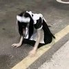 Avatar of _Ding