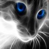 Avatar of BartekBW