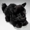 Avatar of KatzeSchwarz