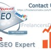 Avatar of seo-services