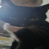 Avatar of weltop