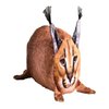 Avatar of щлепка