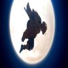 Avatar of Negato