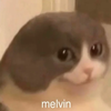 Avatar of Melvin