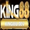 Avatar of king88udev