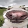 Avatar of Tthhvcg