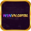 Avatar of winvncapital
