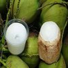 Avatar of coconutscraper