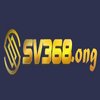 Avatar of sv368direct
