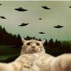 Avatar of magmasprojectsnstuff