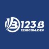 Avatar of 123B