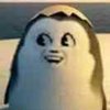 Avatar of TXSCXZM