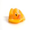 Avatar of GWT_ducks