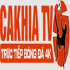Avatar of yervana.com is a scam