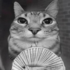 Avatar of wowzas
