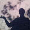 Avatar of codebear