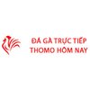 Avatar of Đá Gà Trực Tiếp Thomo Hôm Nay