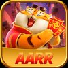 Avatar of AARR - Plataforma