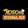 Avatar of xoso66