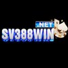 Avatar of SV388