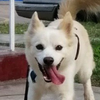Avatar of anthonyarcearq