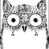 Avatar of OwlSensei