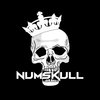 Avatar of NumSkull