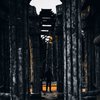 Avatar of umarkhashimov05