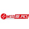 Avatar of Miso88
