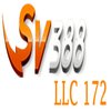 Avatar of SV388