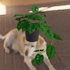 Avatar of GGGP