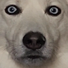 Avatar of funymony