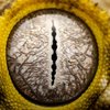 Avatar of EndZz