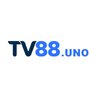 Avatar of tv88uno