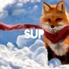 Avatar of Fox_Neula