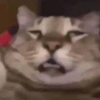 Avatar of CesarSo