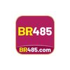 Avatar of br485org