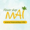 Avatar of Hoa Vải Đẹp MAI