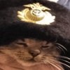 Avatar of RW6910