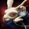 Avatar of RandomUzer12